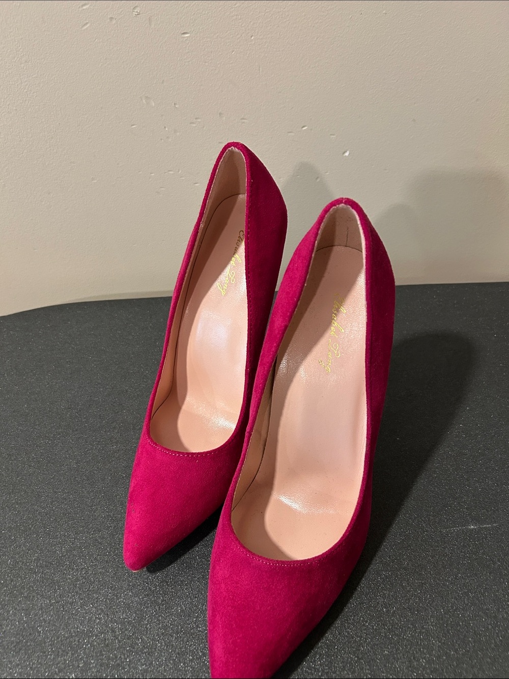 Fuschia Stiletto Shoes